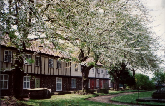 Gildencroft Tudor cottages, St Augustine's, Norwich