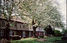 Cherry blossoms by the Gildencroft Tudor Cottages, St Augustine's churchyard